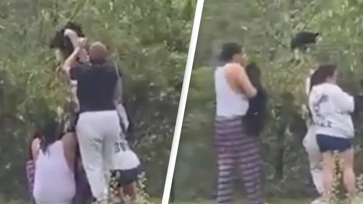 YouTube/ABC 7 Chicago