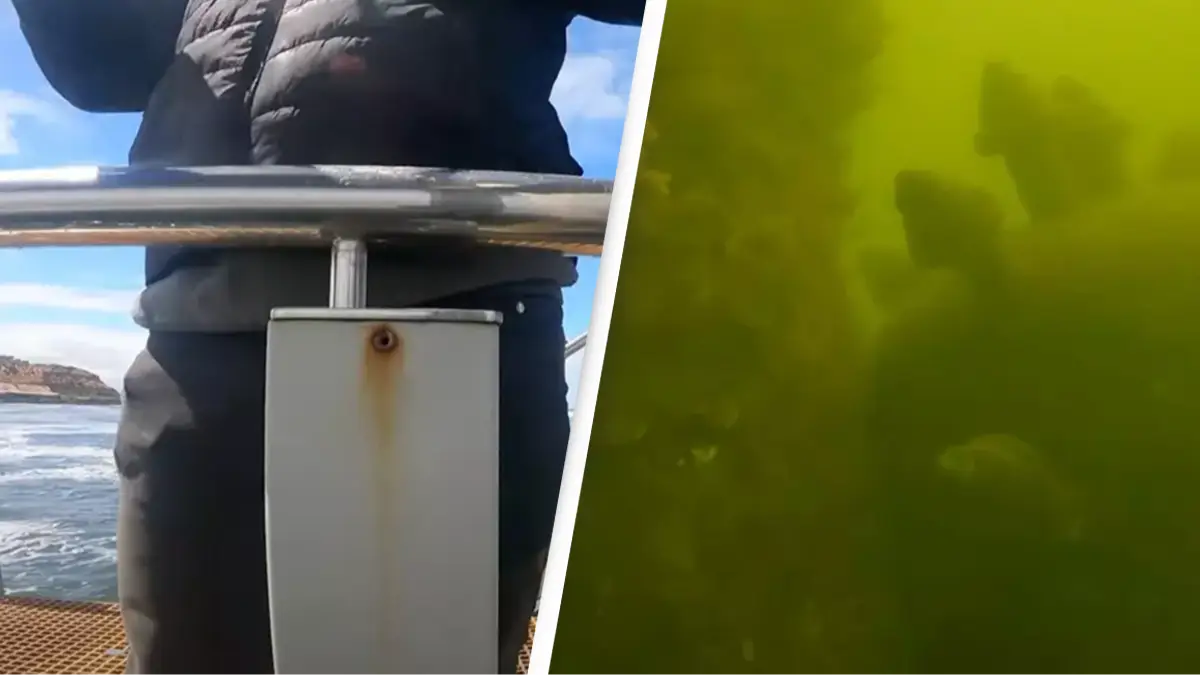 Man urged to make ‘emergency call immediately’ after dropping GoPro in the ocean and discovering terrifying object