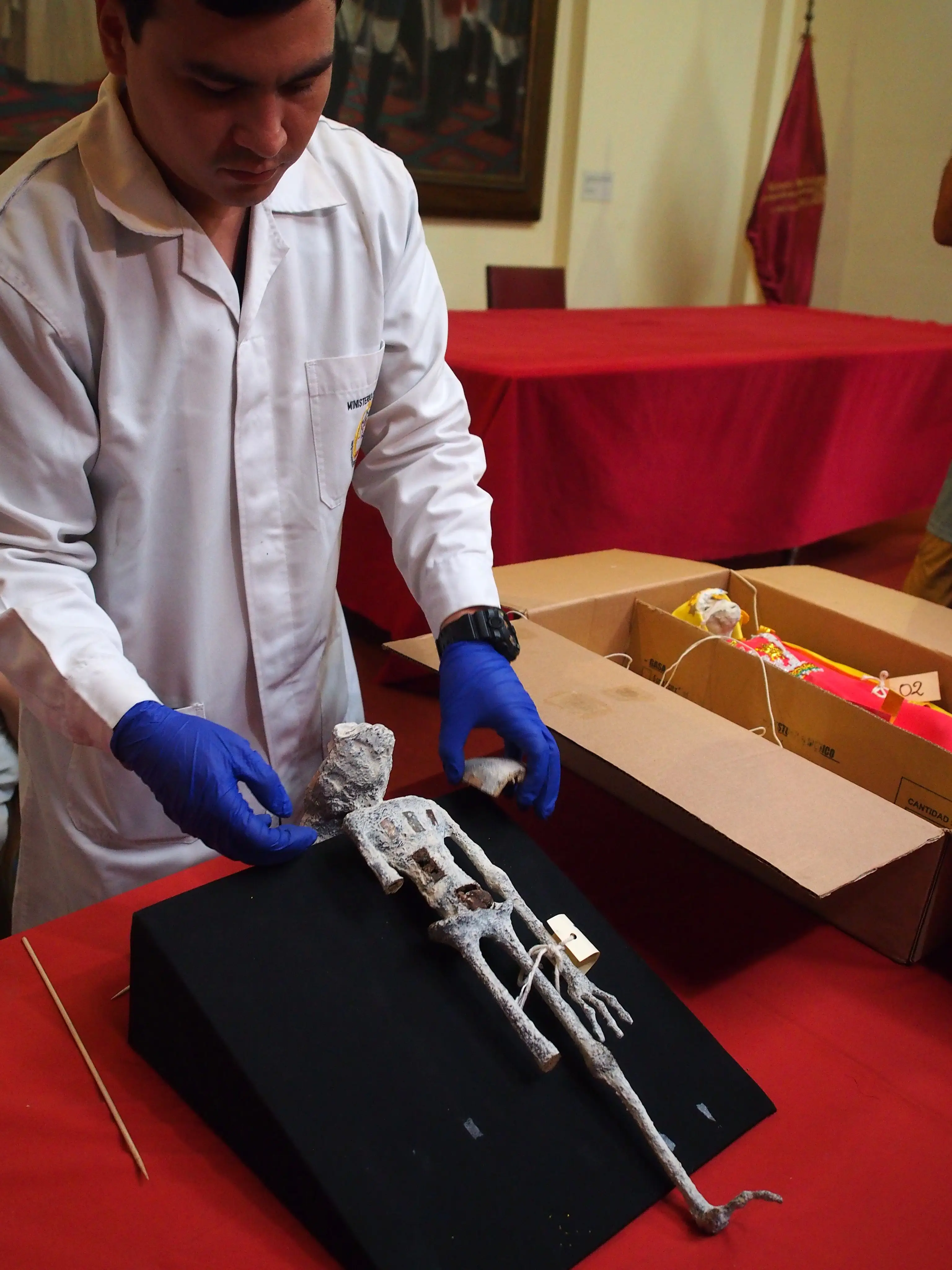 They have since been revealed to be dolls made of animal bones.