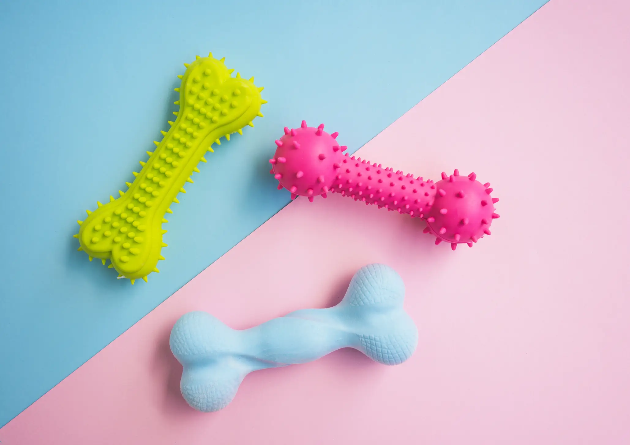 Dog chew toys made it onto the list (Anna Blazhuk/Getty stock photo)