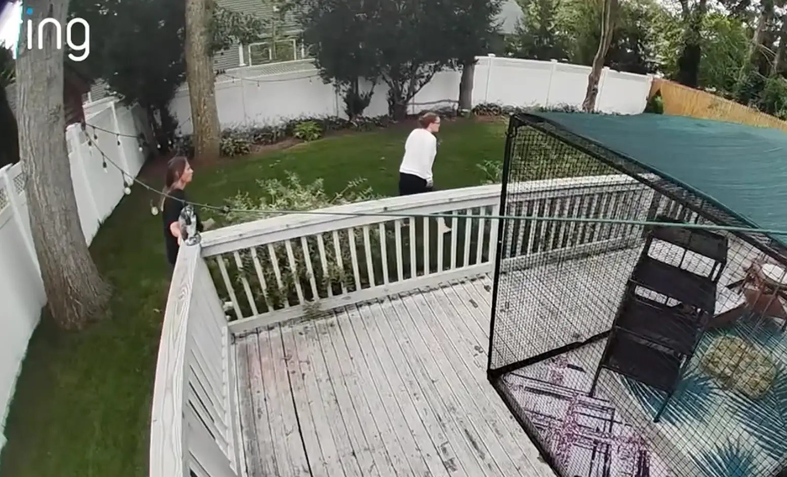 Neighbours came running to her backgarden when they heard the screams (Inside Edition)