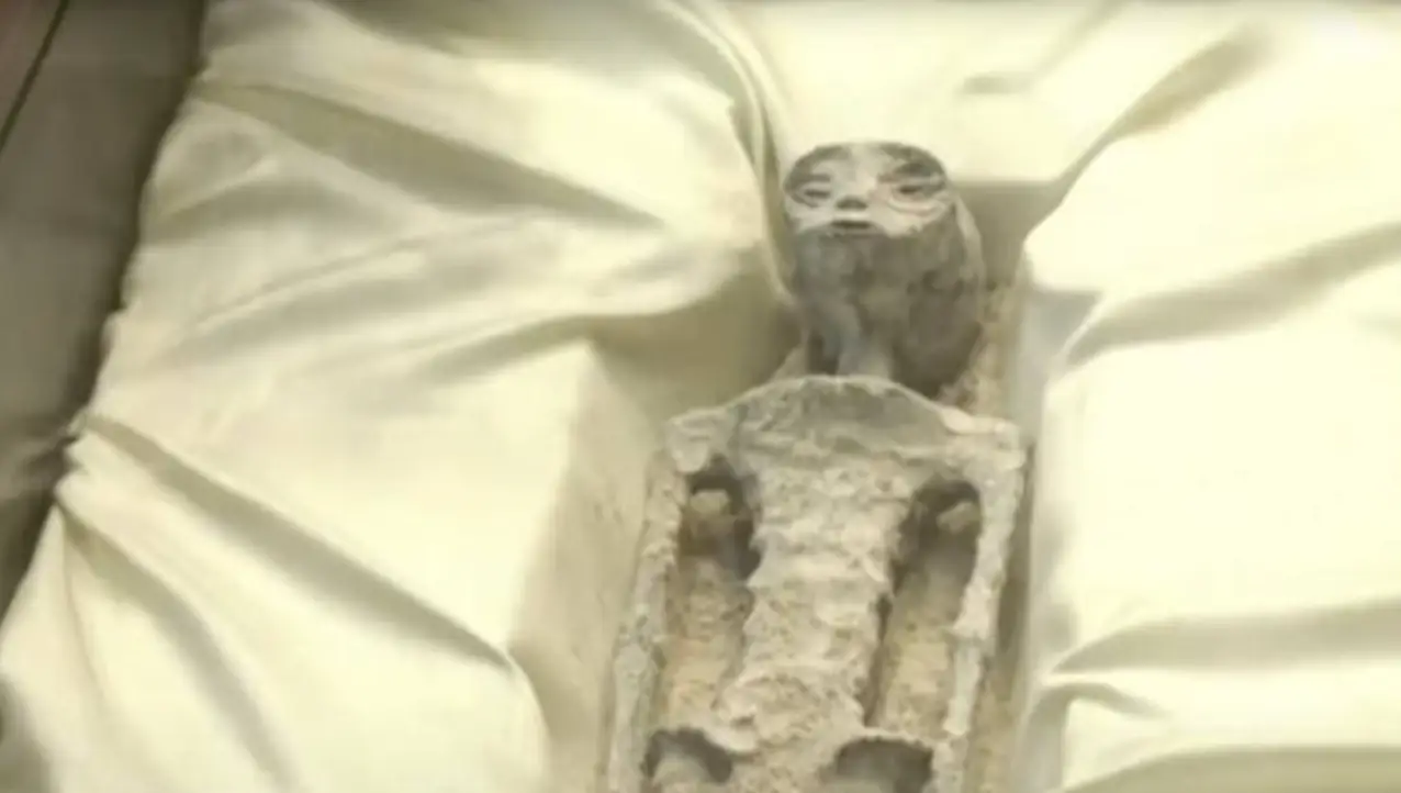 The two alleged 'non-humans' were presented at Mexico’s first public congressional hearing on Unidentified Anomalous Phenomena (UAPs), also known as UFOs, on Tuesday (September 12).