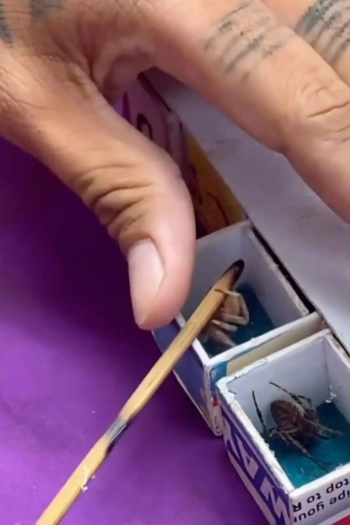 One user said they were left with 'so many questions' after watching the derby (TikTok/@ricktastico)