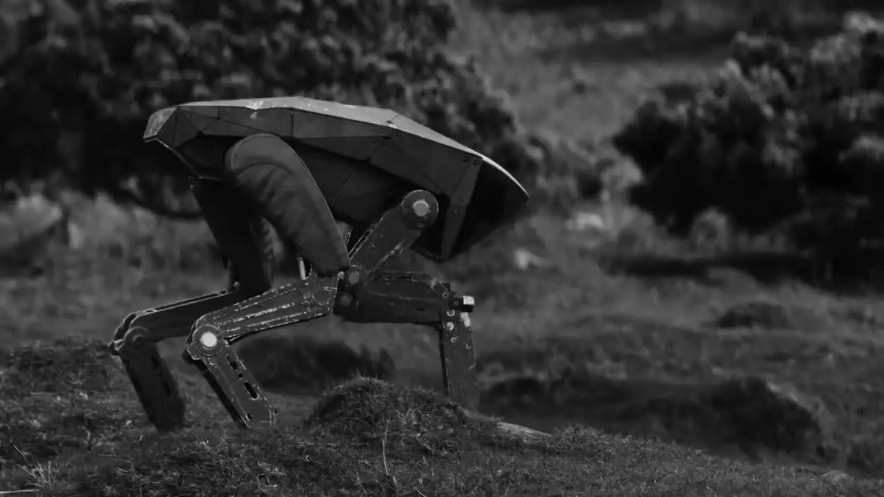 The robot dogs in Black Mirror's 'Metalhead'.