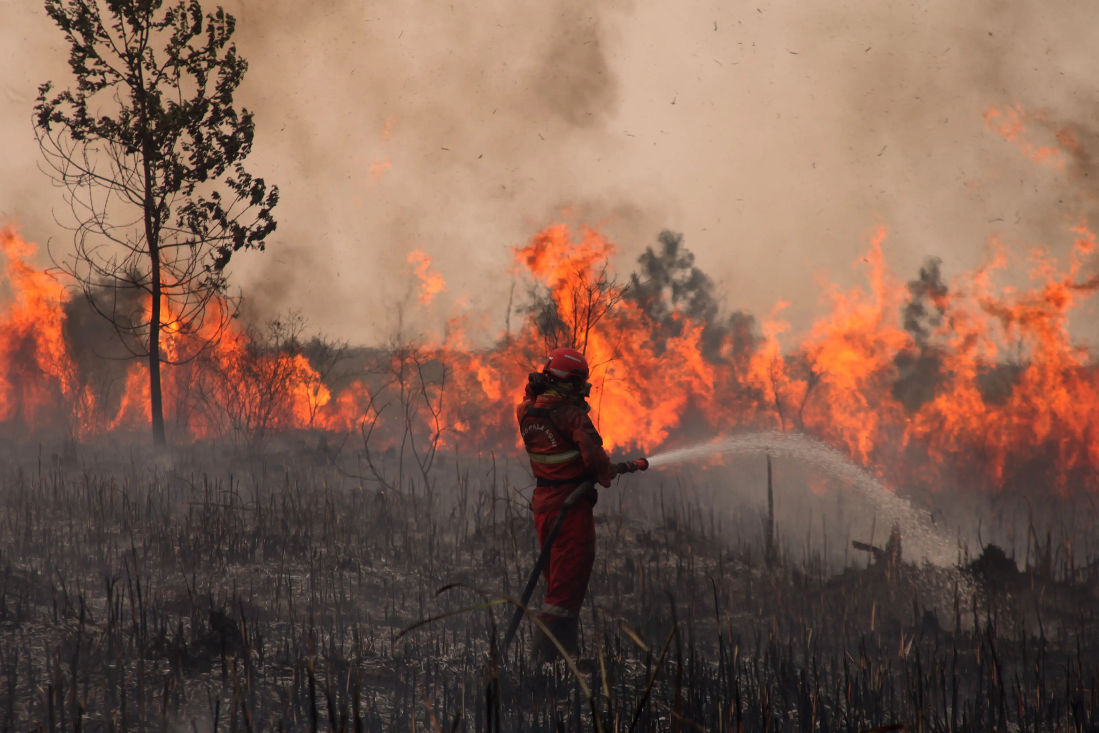 Indonesia has been hit hard by El Niño (Muhammad Fajri/Anadolu via Getty Images)
