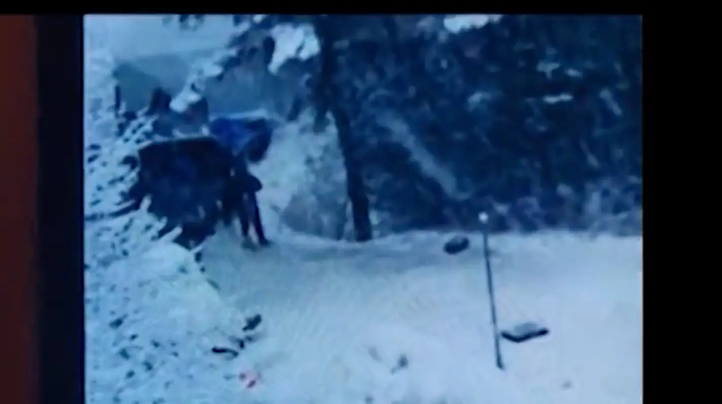 Fans took to TikTok to point out the moment where the crew was visibly in shot.