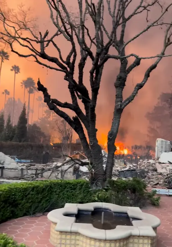 Cameron Mathison took to Instagram to share a heartbreaking video (Instagram/@cameronmathison)