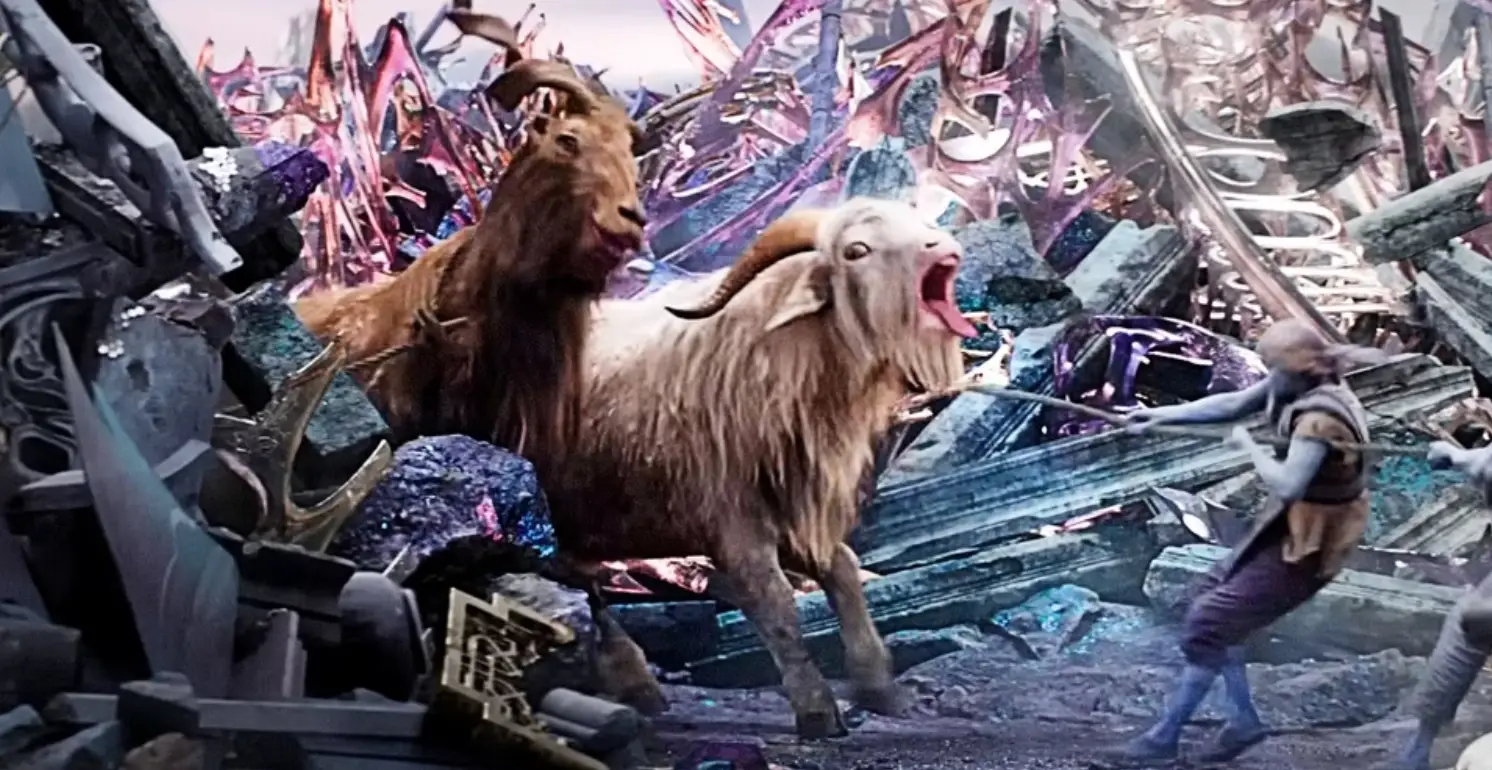 These two have some lungs on them.