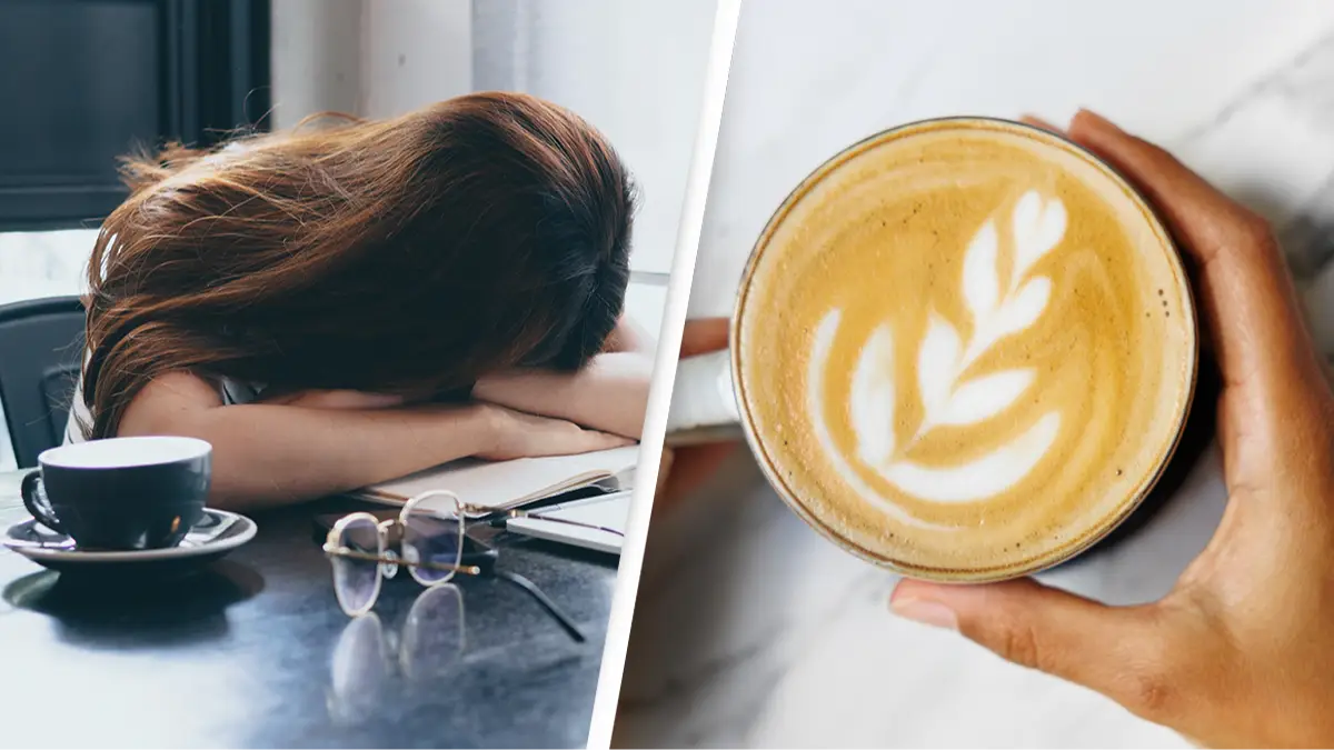 Getty/nomadnes/Getty/Tom Werner