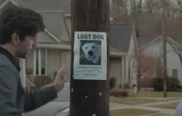 Why wouldn't you want to help find a young girl's missing dog? (Ring) 