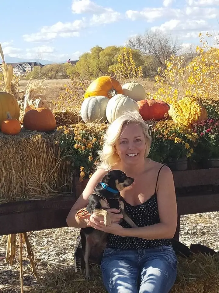 Jessica Hoff reportedly had 54 dogs (Facebook/Jessica Hoff)