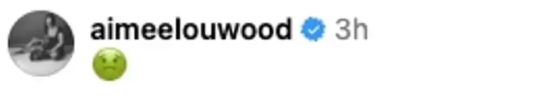 Wood's comment could be seen in a reshare of the clip (Instagram/Misanharriman)