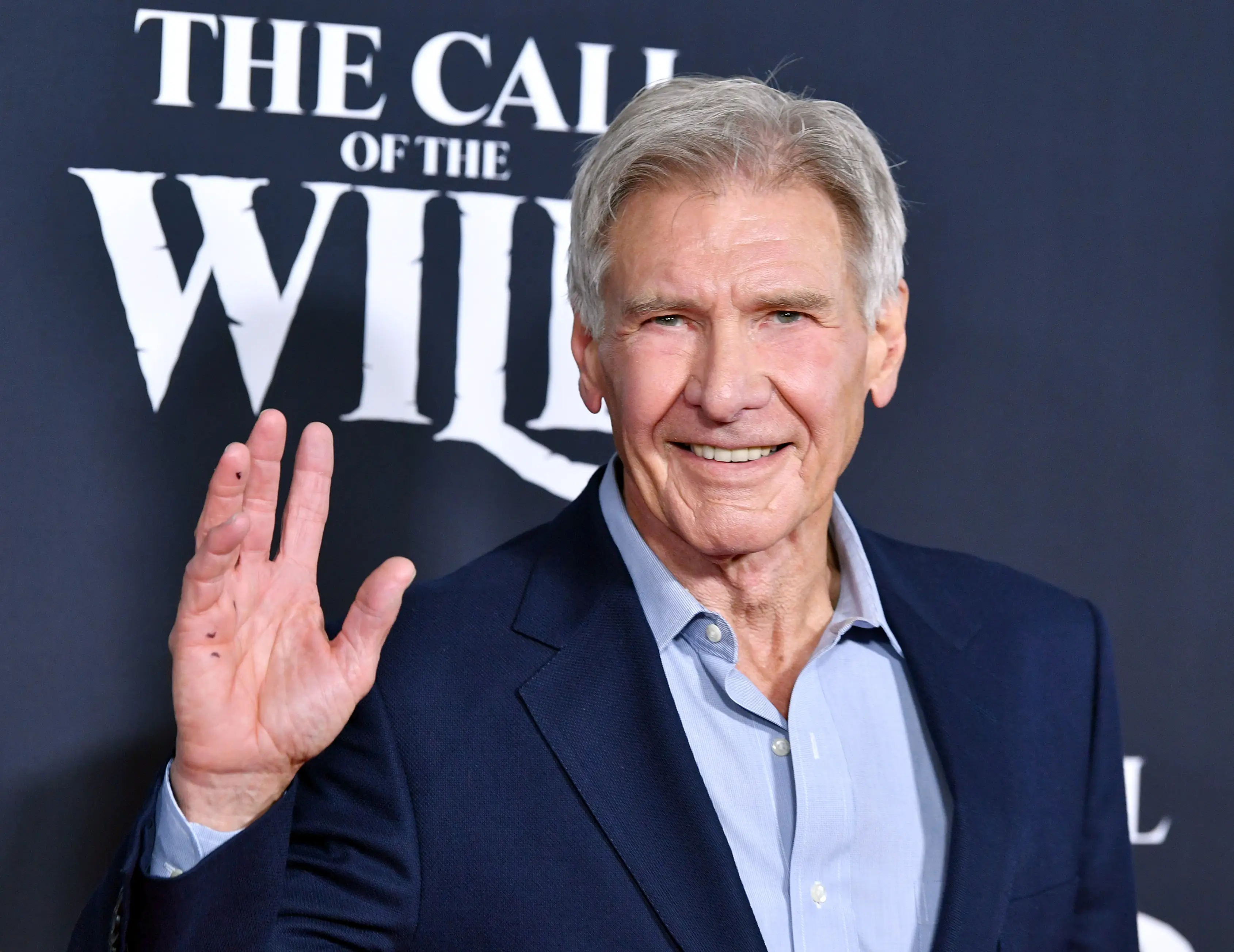 Harrison Ford's wife plays practical jokes on him (Amy Sussman / Staff / Getty Images)