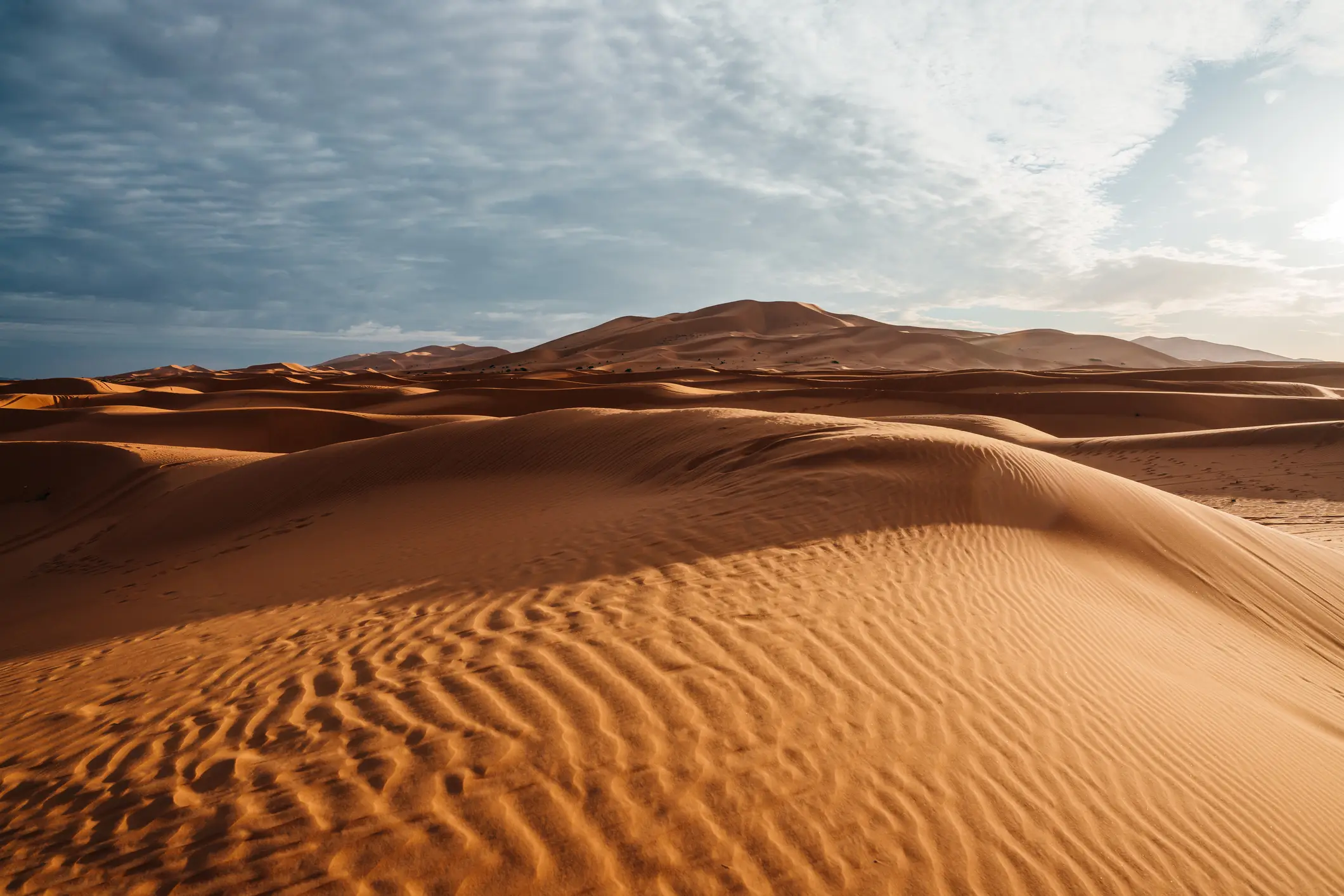 The sheer scale and repetition of the pattern points to a shared nomadic culture stretching across a vast swathe of the Sahara (Getty stock image)