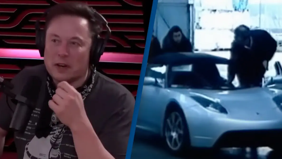 The Joe Rogan Experience/Top Gear