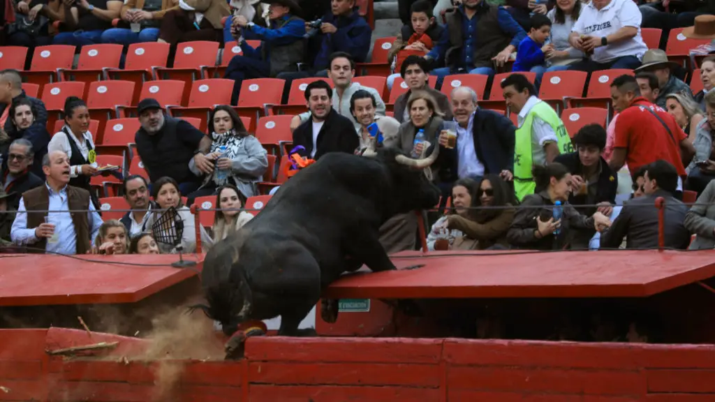 Ian Robles/ Pixelnews/Future Publishing via Getty Images