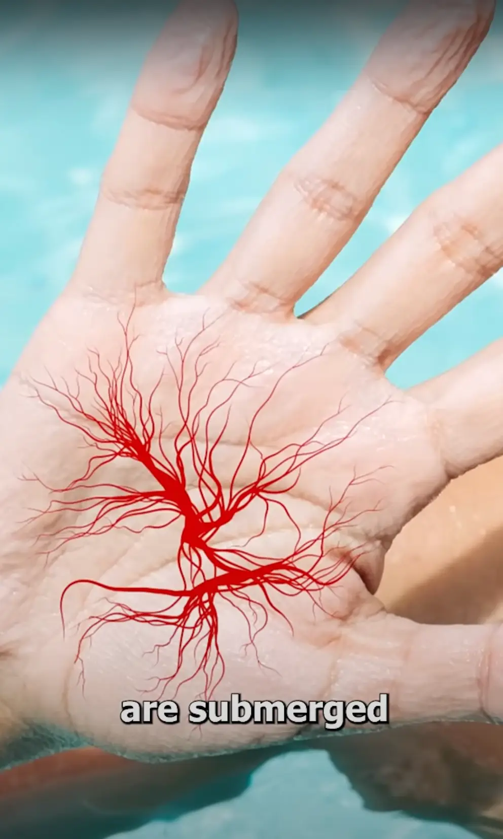 The bizarre simulation has answered a burning question (YouTube/Zack D. Films)