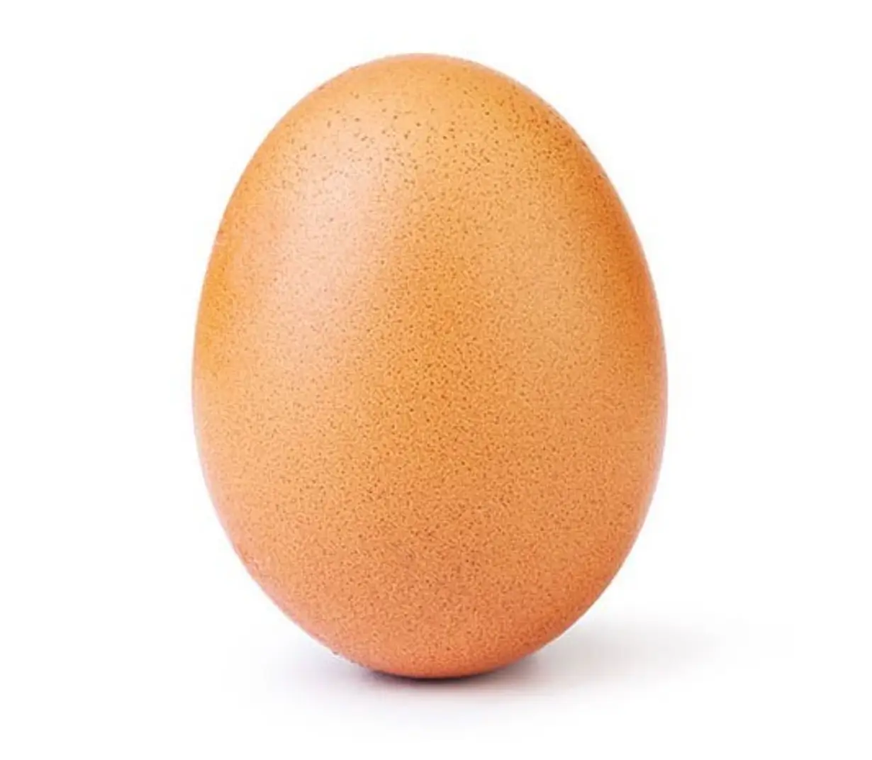 The egg was, literally, just an egg (Instagram/@world_record_egg)