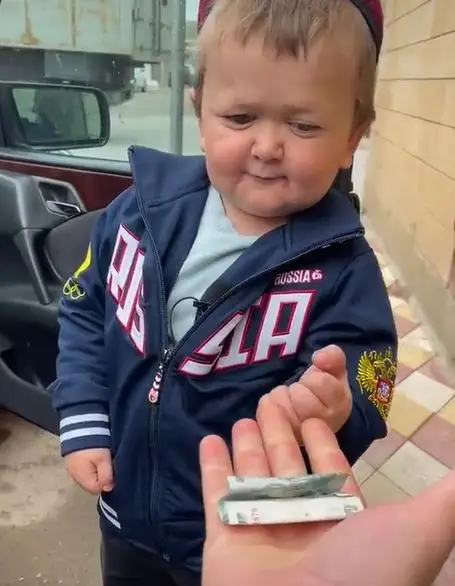 Hasbulla (@haymakers/TikTok)