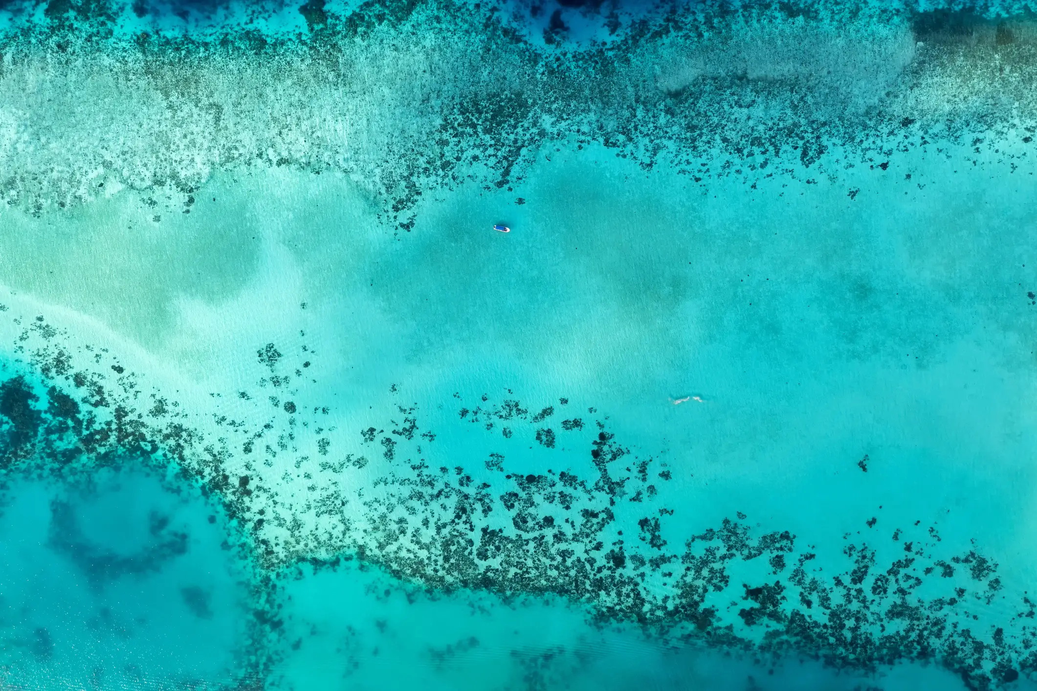 Teal, depicted here as an aerial view of a coral reef, is the closest color to 'olo' (Getty stock)