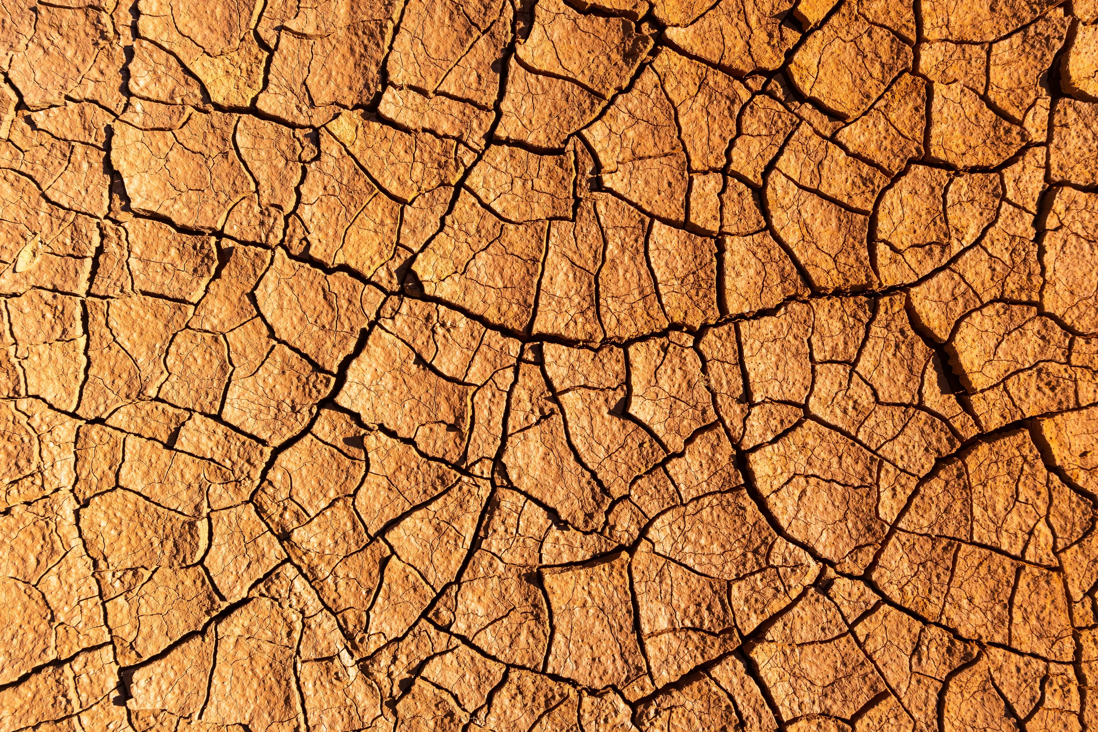El Niño can lead to extreme weather (Frederic Desmoulins/Getty)