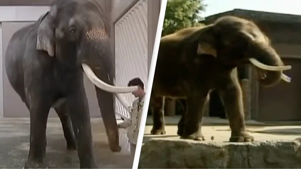 euronews/YouTube/CBS/YouTube