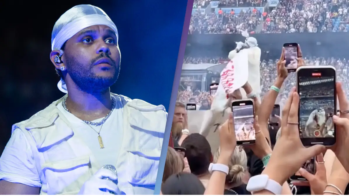 Samir Hussein/WireImage / TikTok / @samirachowdhury_