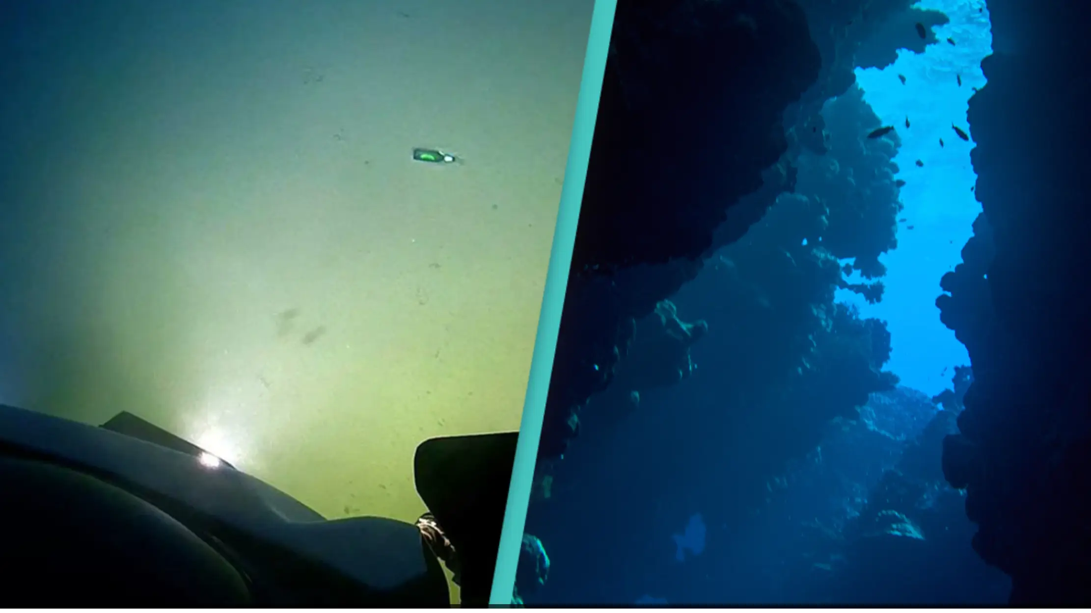 X/@deepseadawn / Wolfgang Pronai/Getty