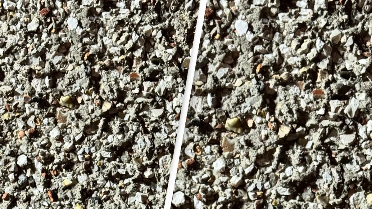 You have the eyes of a 'sniper' if you can spot hidden moth in this image