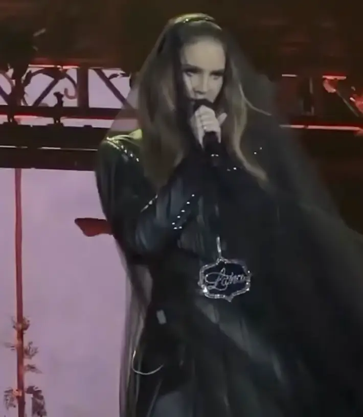 Lana Del Rey cost the festival an estimated $28,000 for not following the strict rules at Coachella. (honeymoon/Instagram)