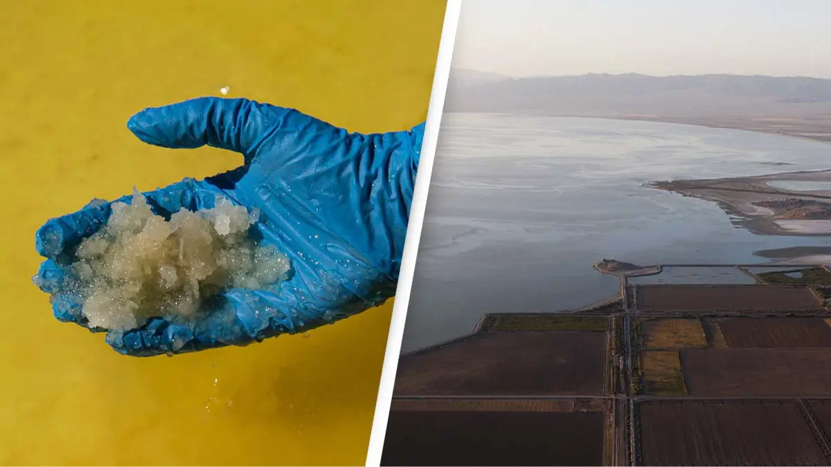 MARTIN BERNETTI/AFP via Getty Images / Brent Stirton/Getty Images