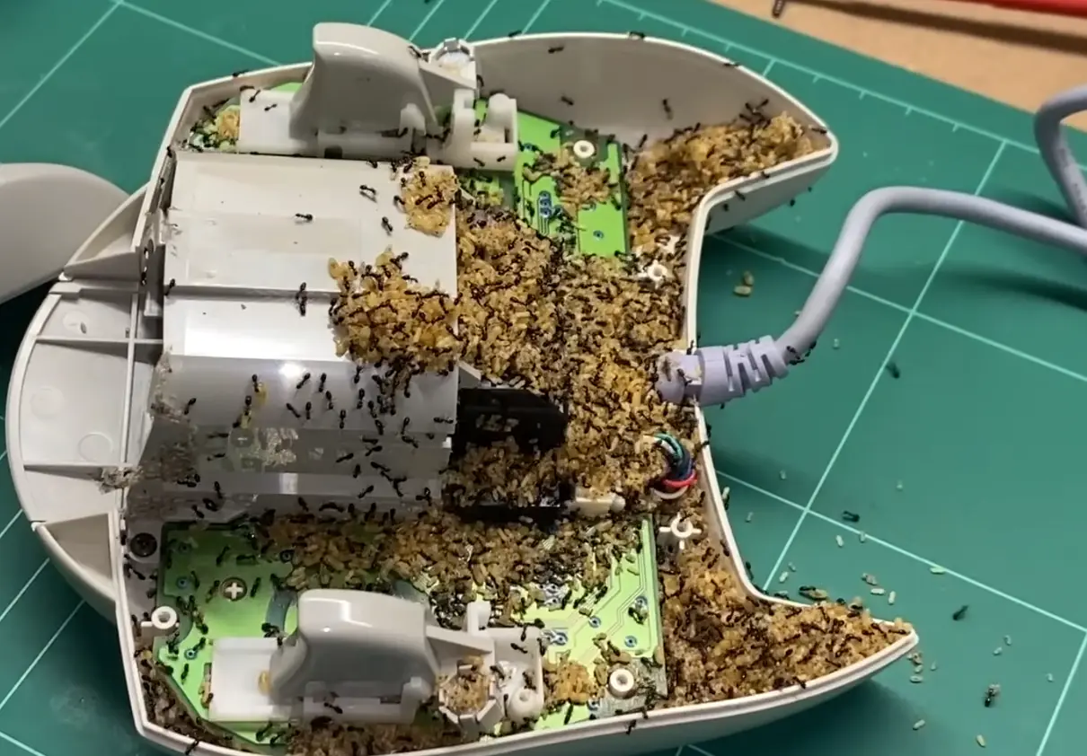 Ants had completely taken over the controller.