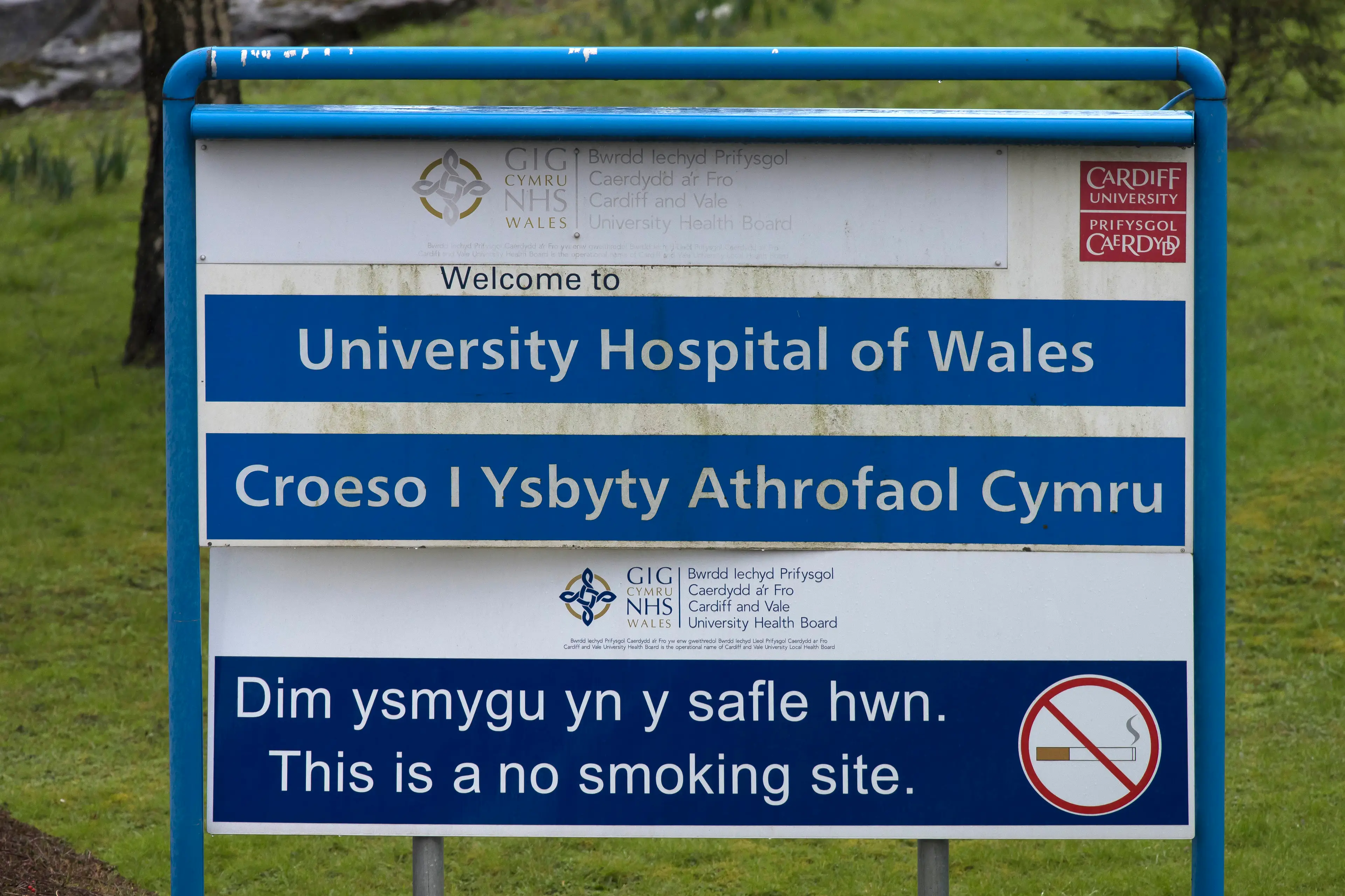Elle was treated at University Hospital of Wales in Cardiff, UK (Matthew Horwood/Getty Images)