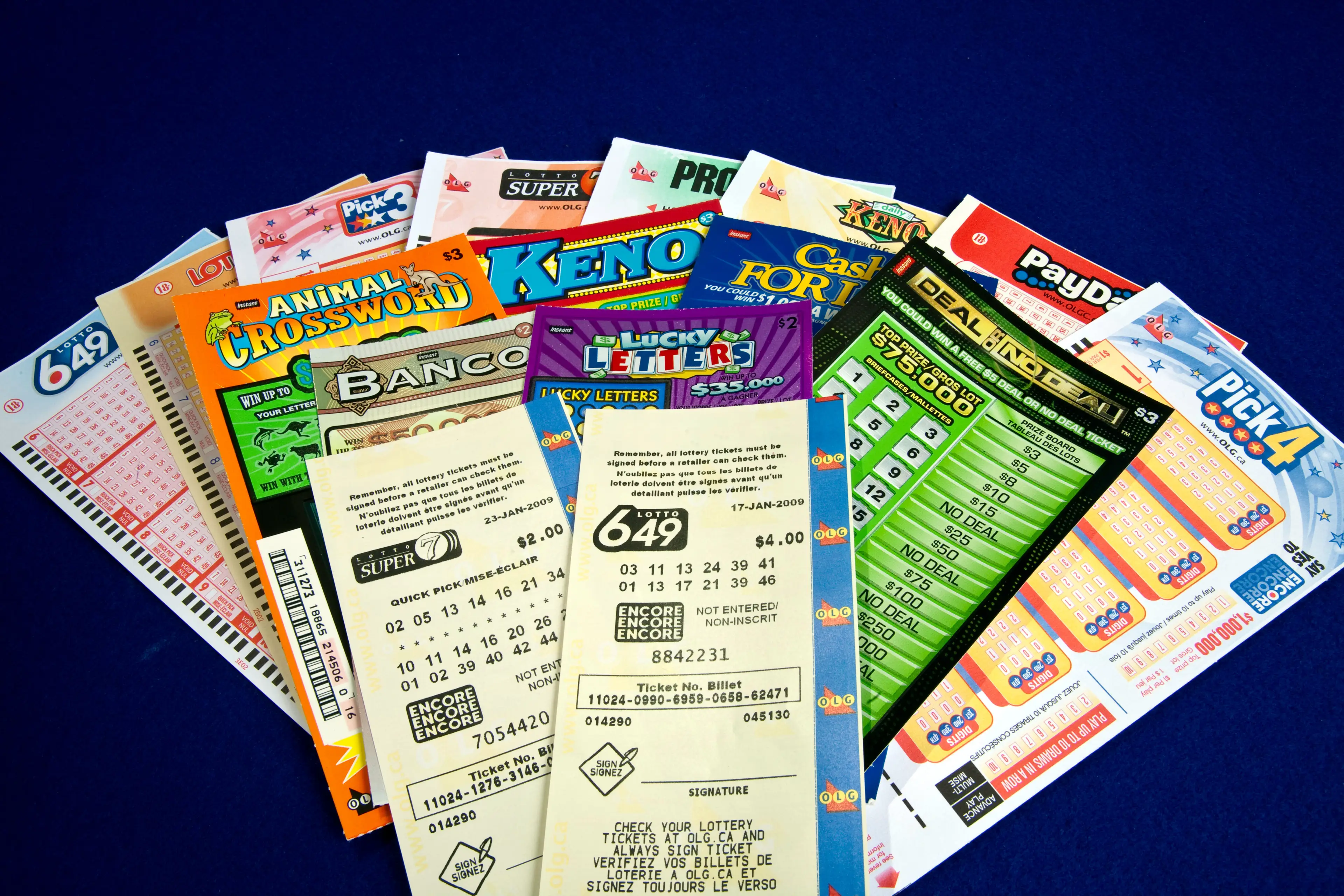 She had even forgotten about purchasing her ticket.