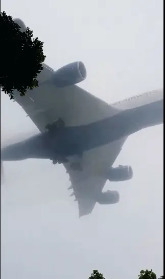 The plane emerging from the fog (@zackfursa/Twitter)