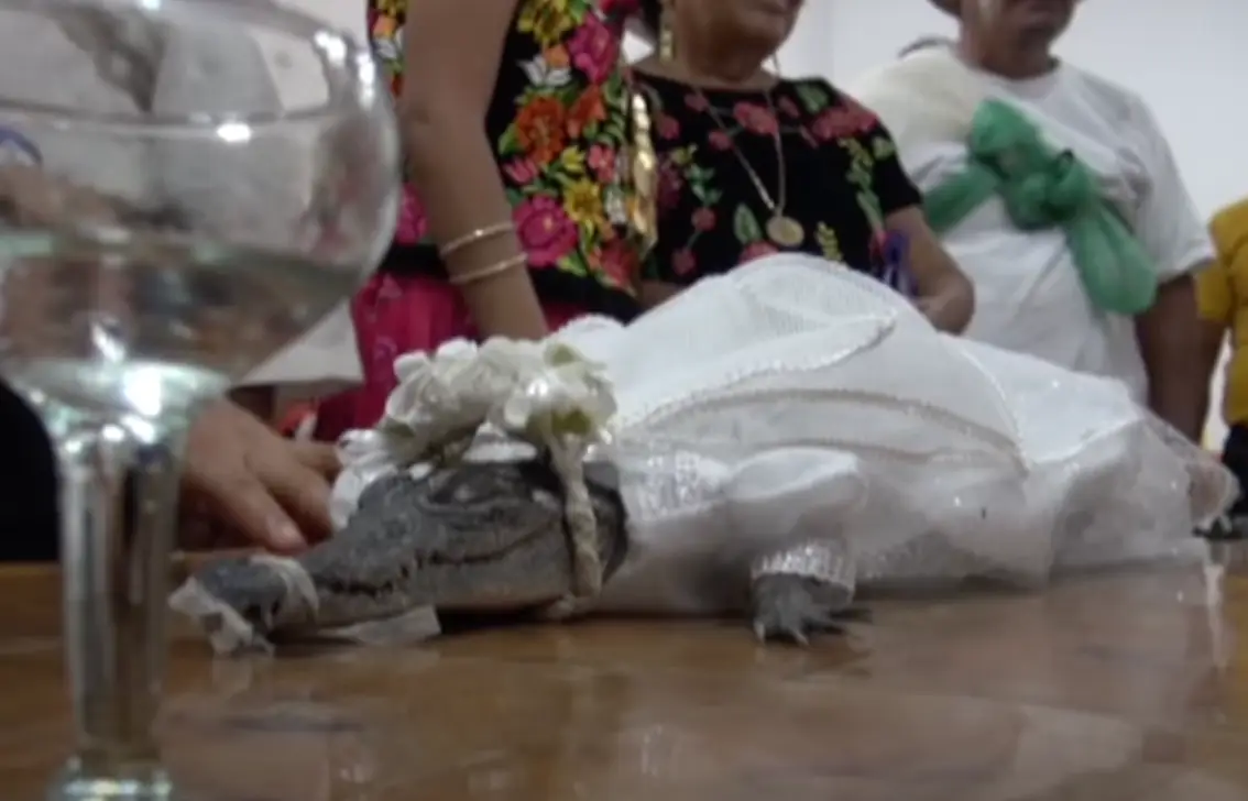 The reptile is thought to represent 'Mother Earth'.