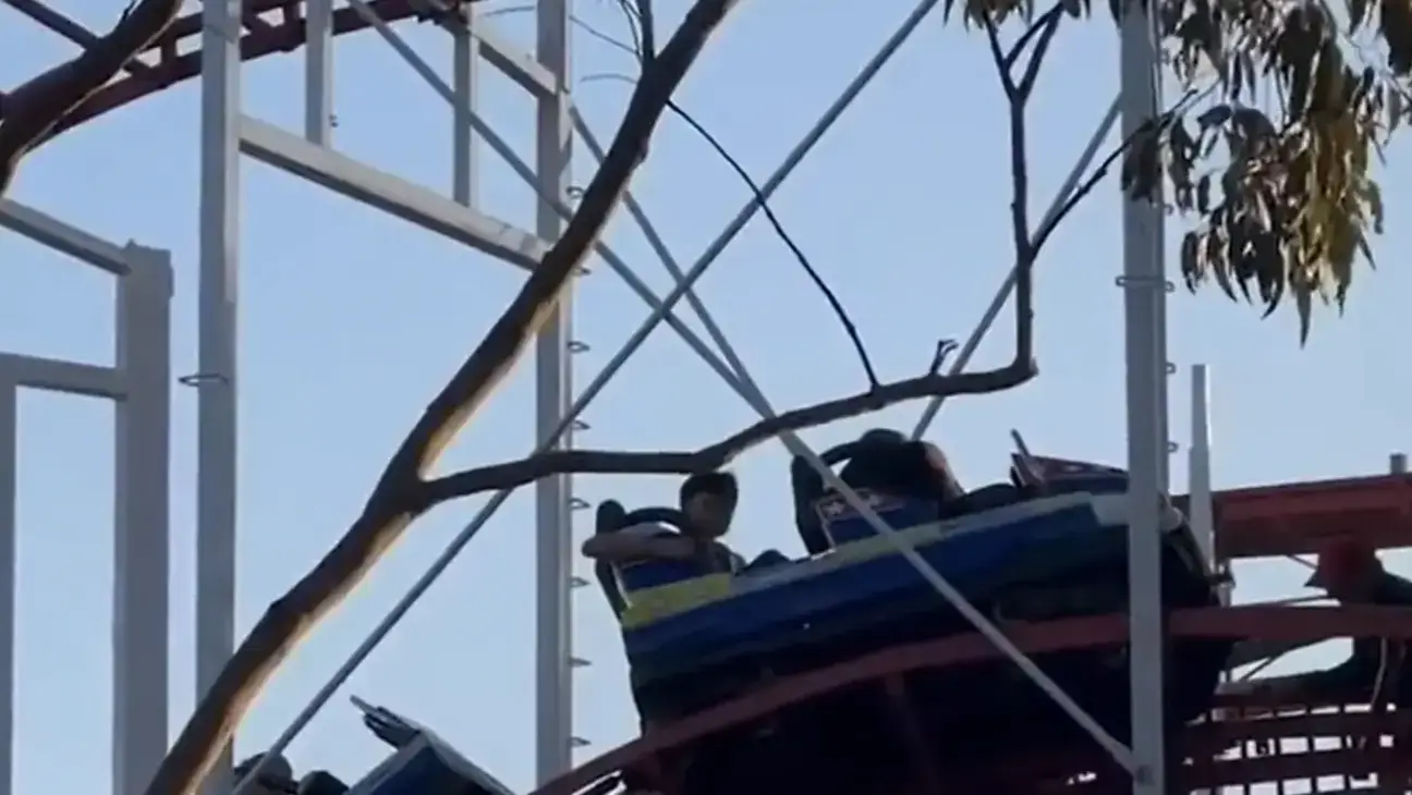 It was initially reported that Rodden was struck by a carriage after walking onto the rollercoaster track.