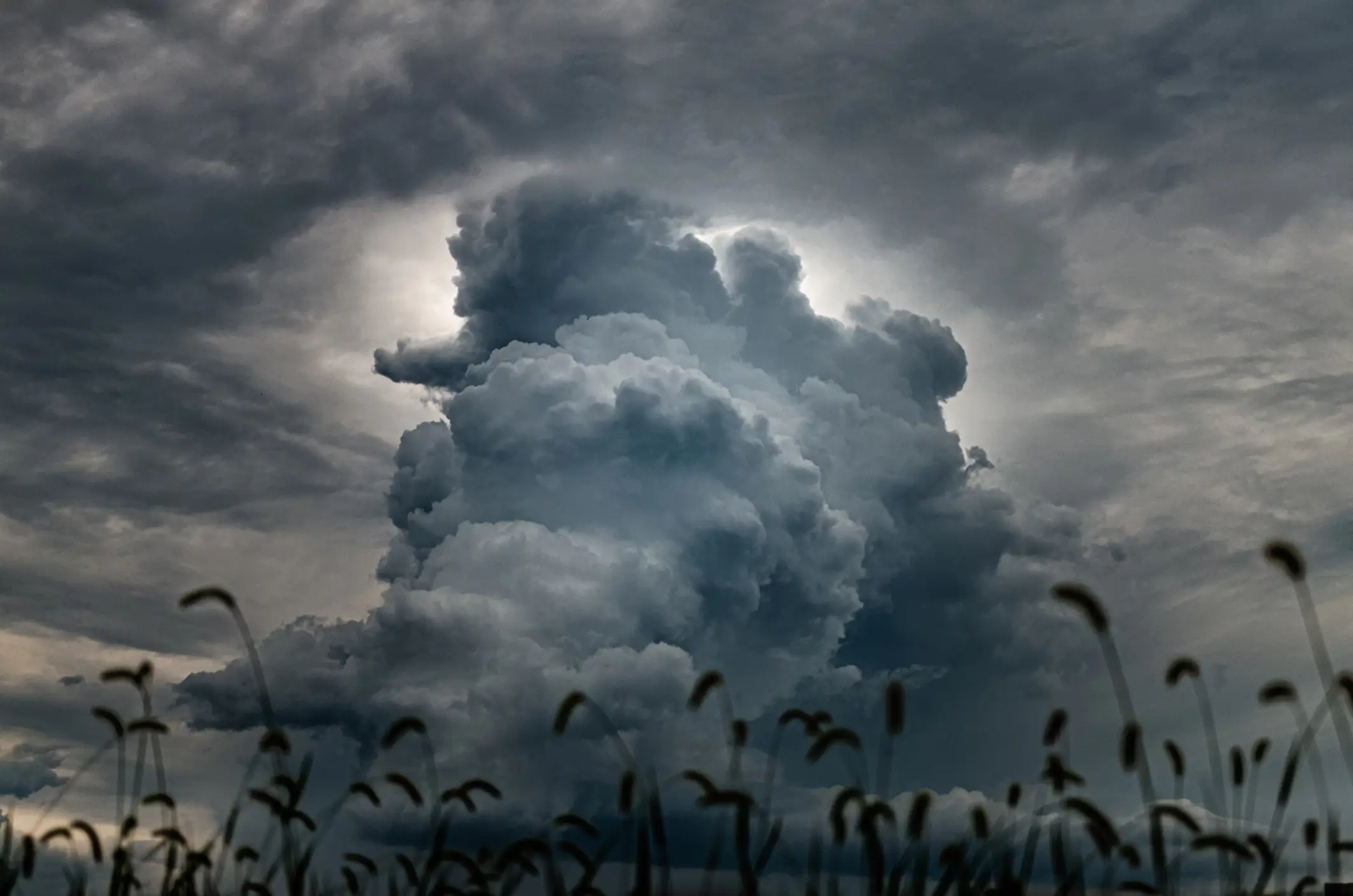 Different parts of the world are expected to be affected differently. (Getty Stock Images)
