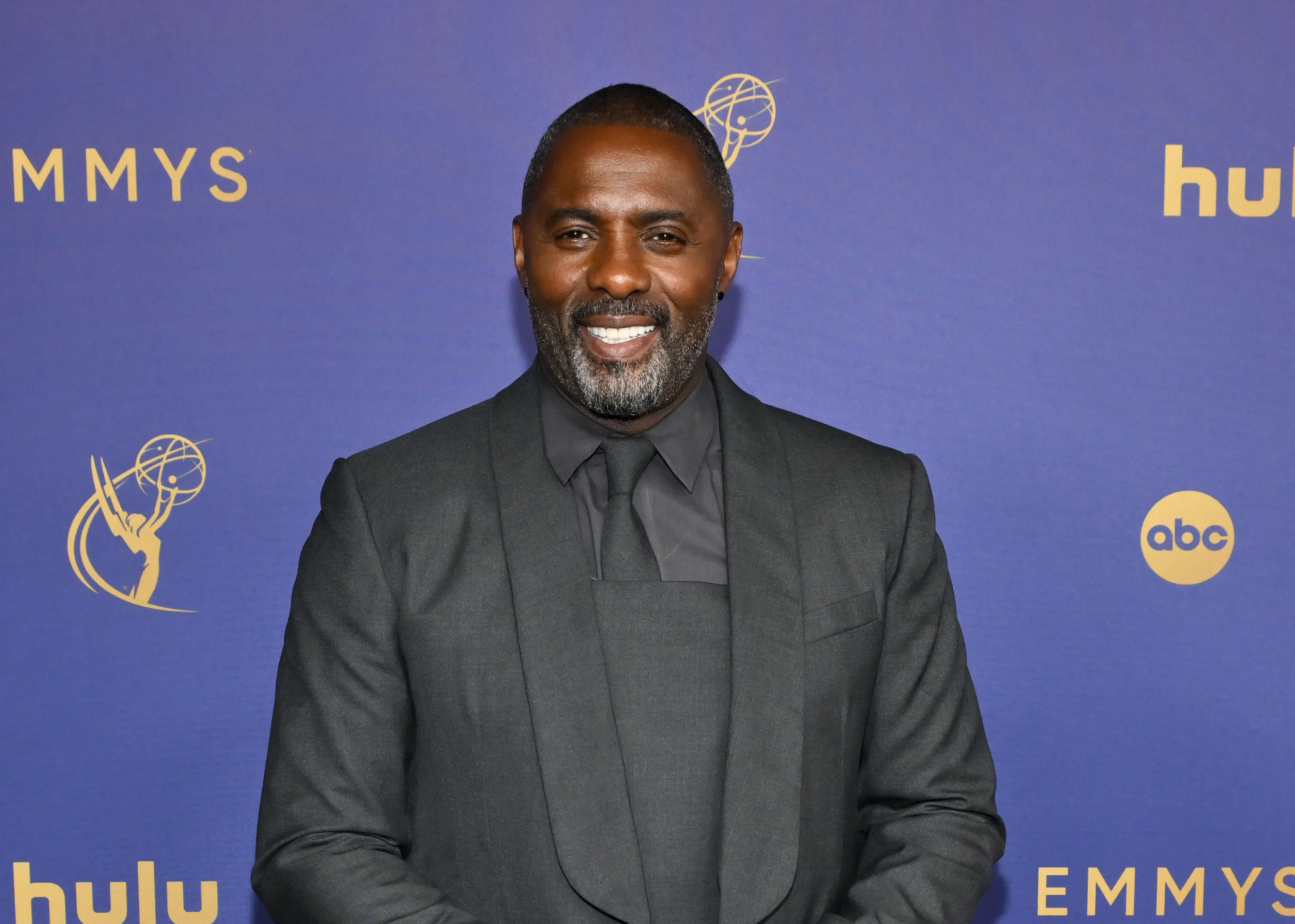 Idris Elba is hoping to develop the film industry across Africa (Michael Buckner/Variety via Getty Images)