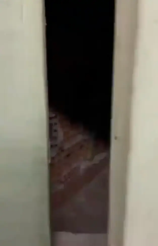 He did what every horror movie character always does.