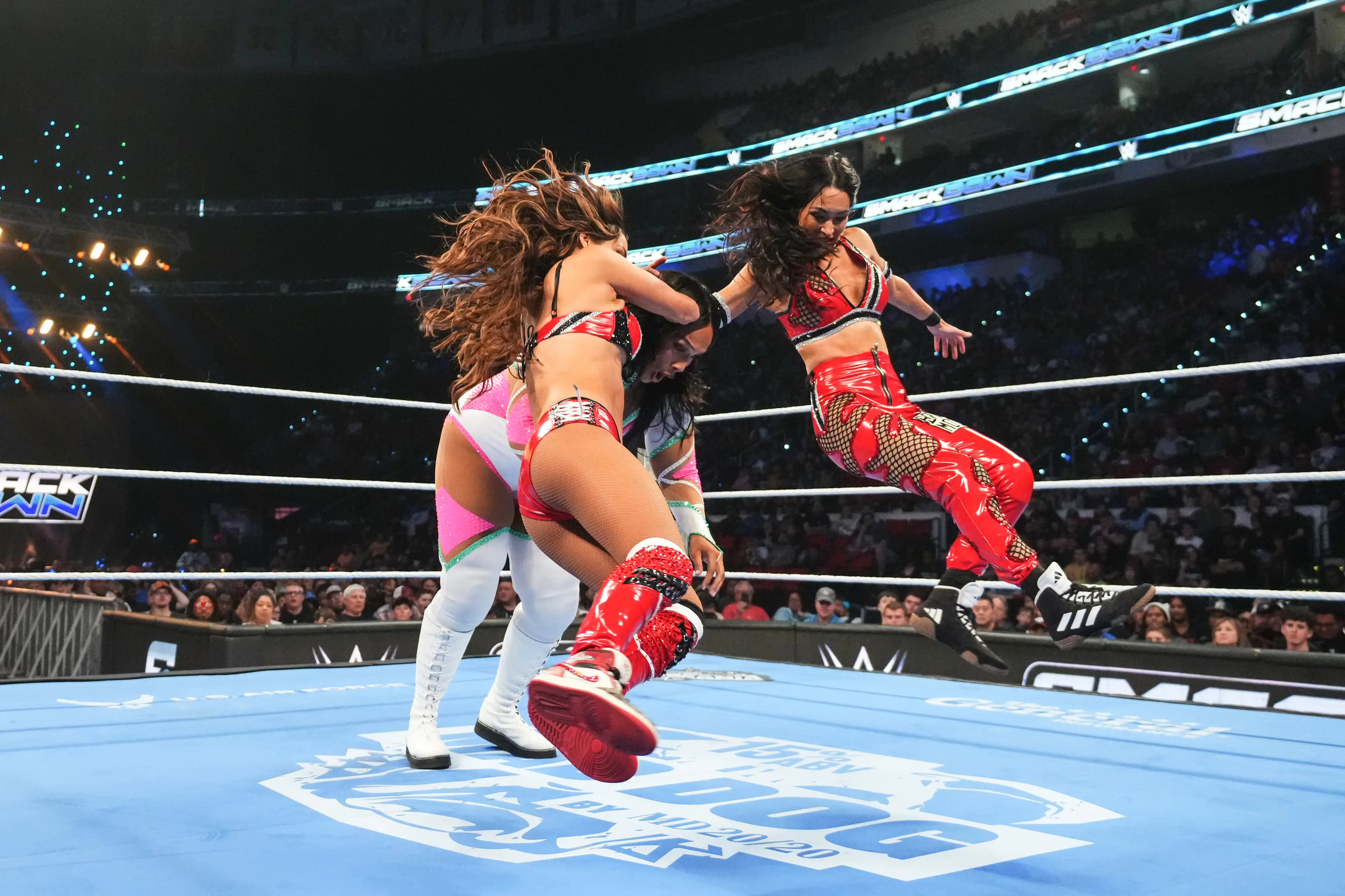 Nikki and sister Brie have wrestled together under the name 'The Bella Twins' (Cooper Neil/WWE via Getty Images)