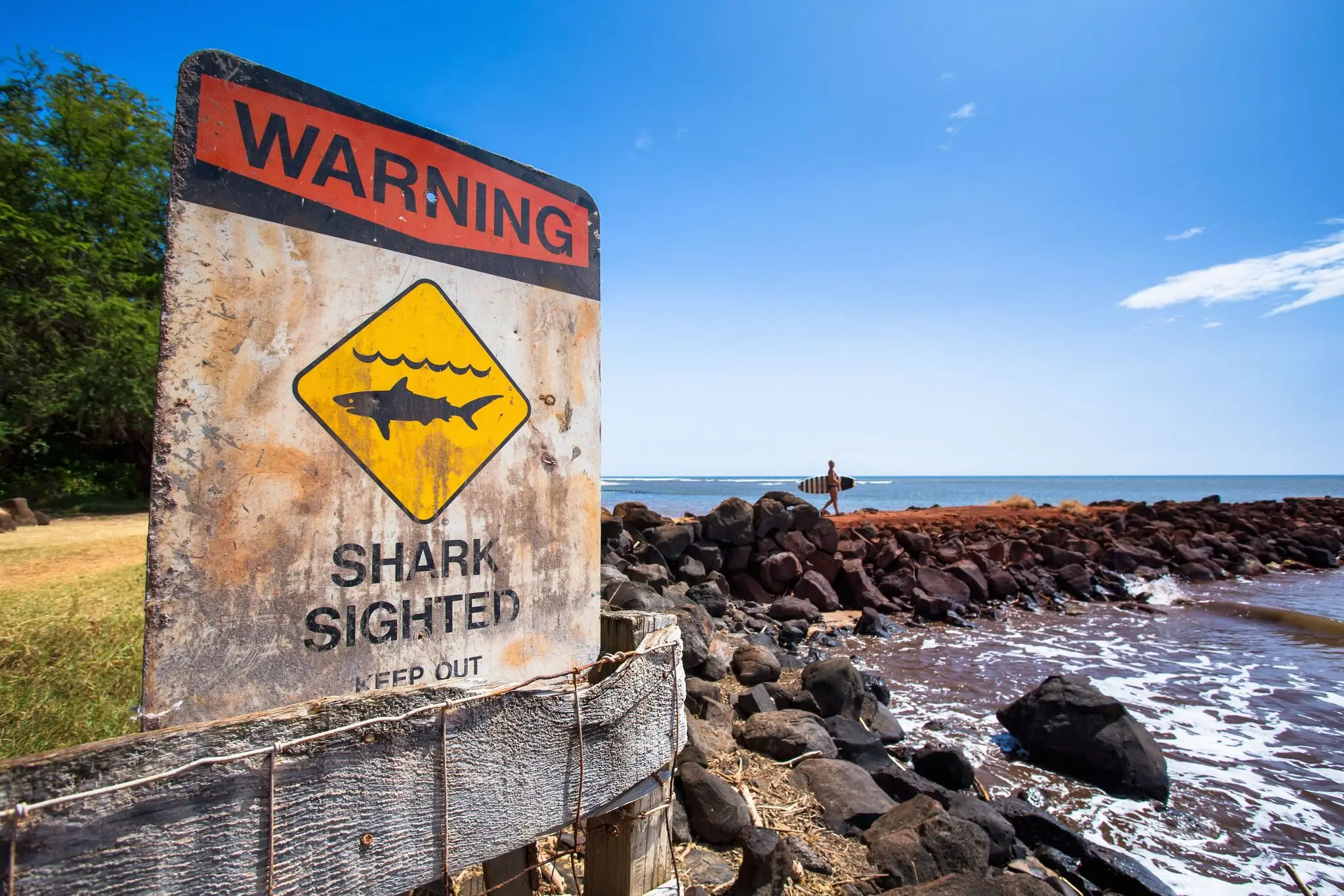 Officials believe the same shark attacked another woman hours earlier. (Getty Stock Image)