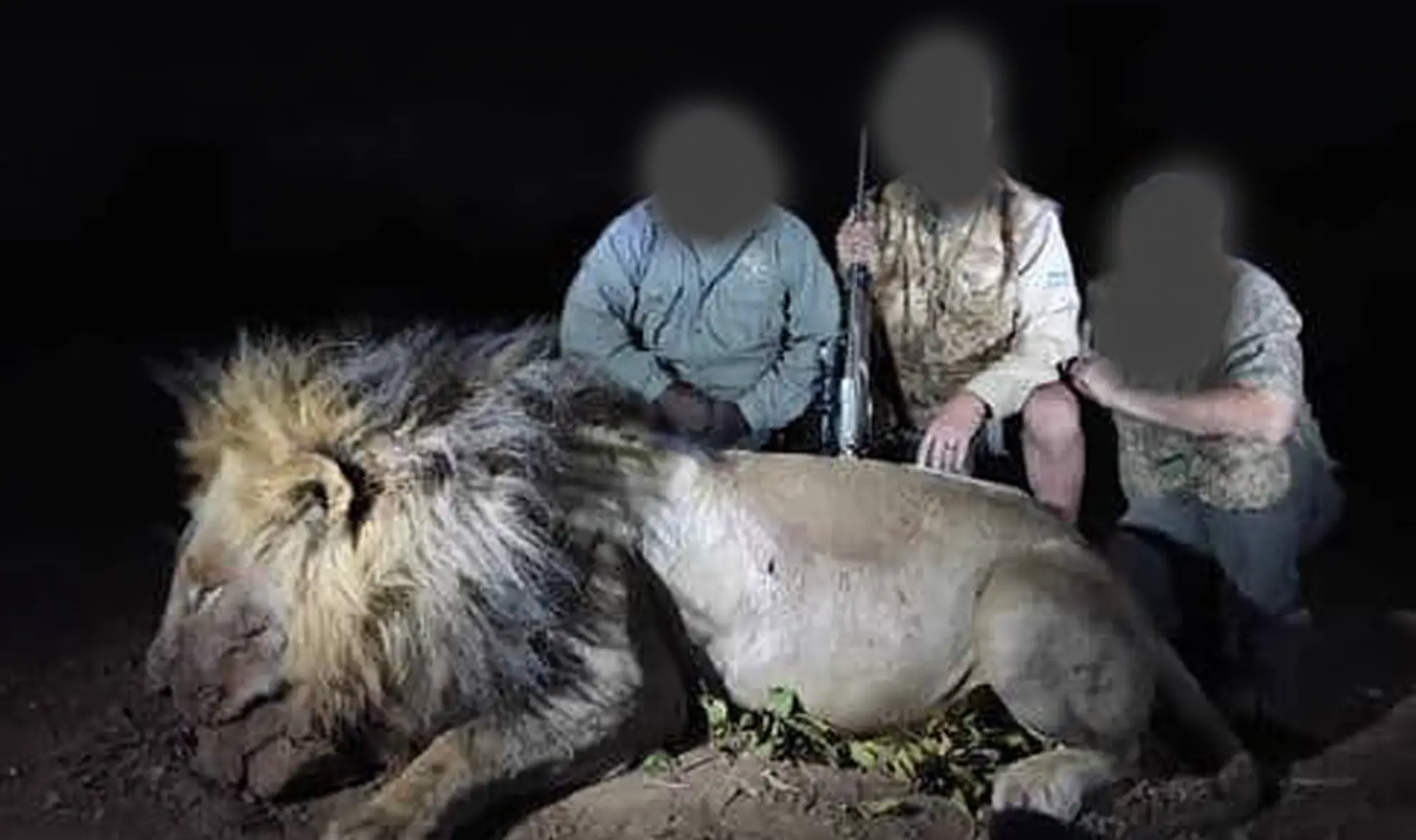 A now-deleted photo on Facebook showed the hunters kneeling by Blondie's body (Facebook)