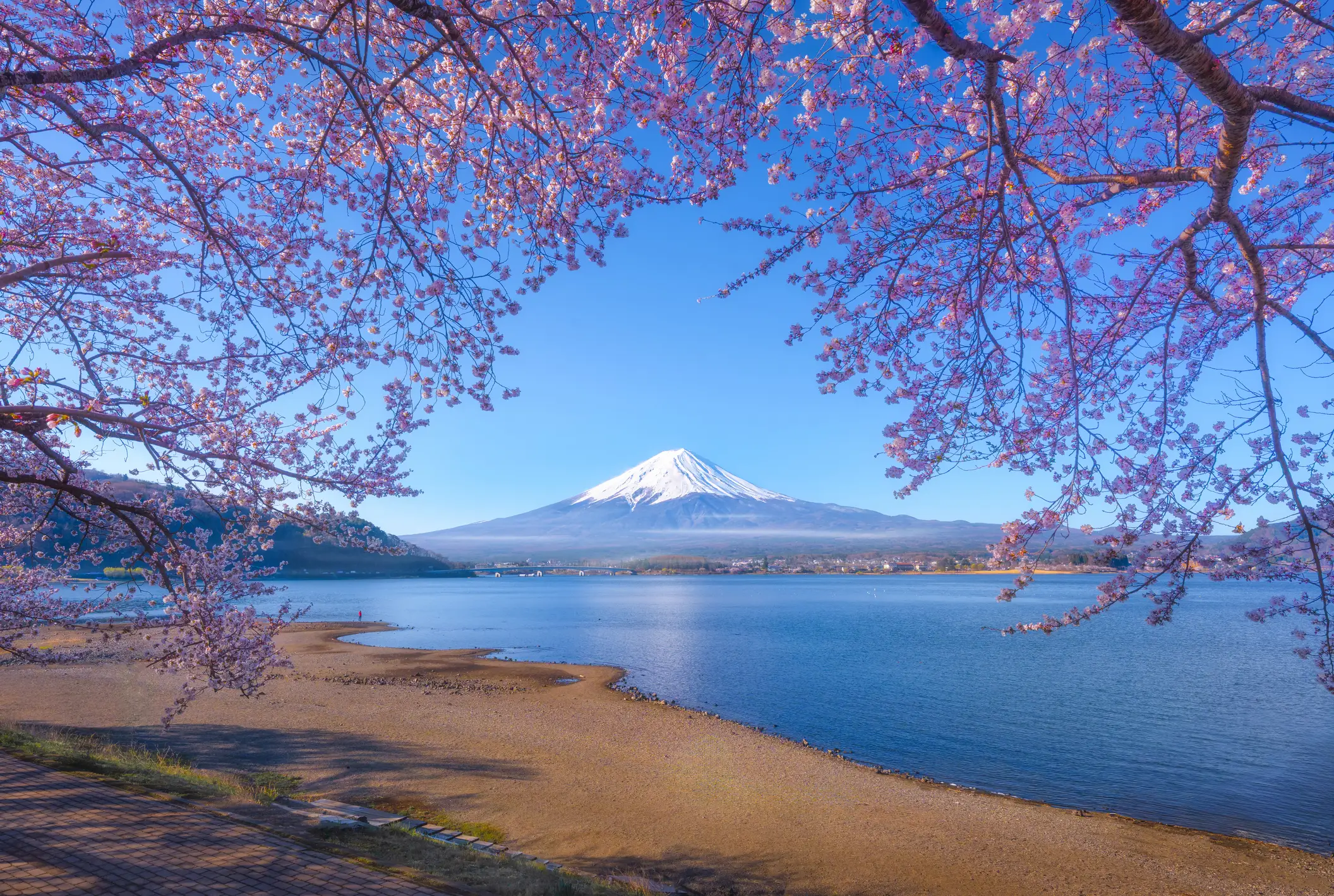 Mount Fuji expectations... (Vithun Khamsong/Getty Images)