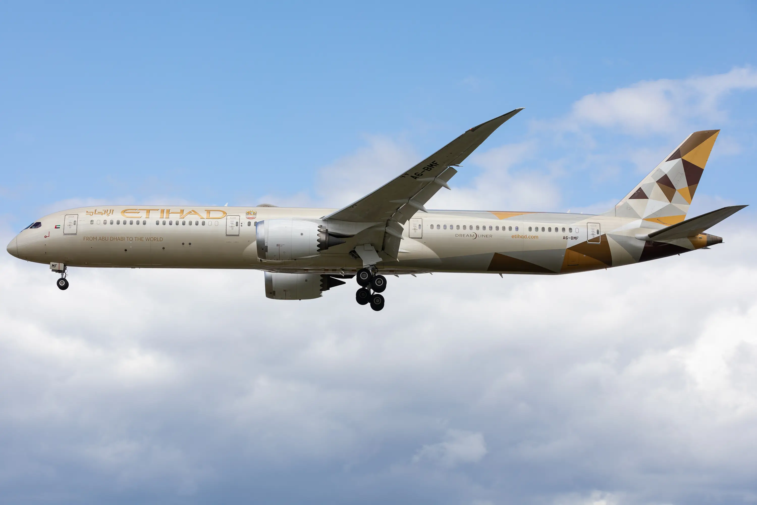 Lily had a panic attack before the airline could accomodate her(MI News/NurPhoto via Getty Images)