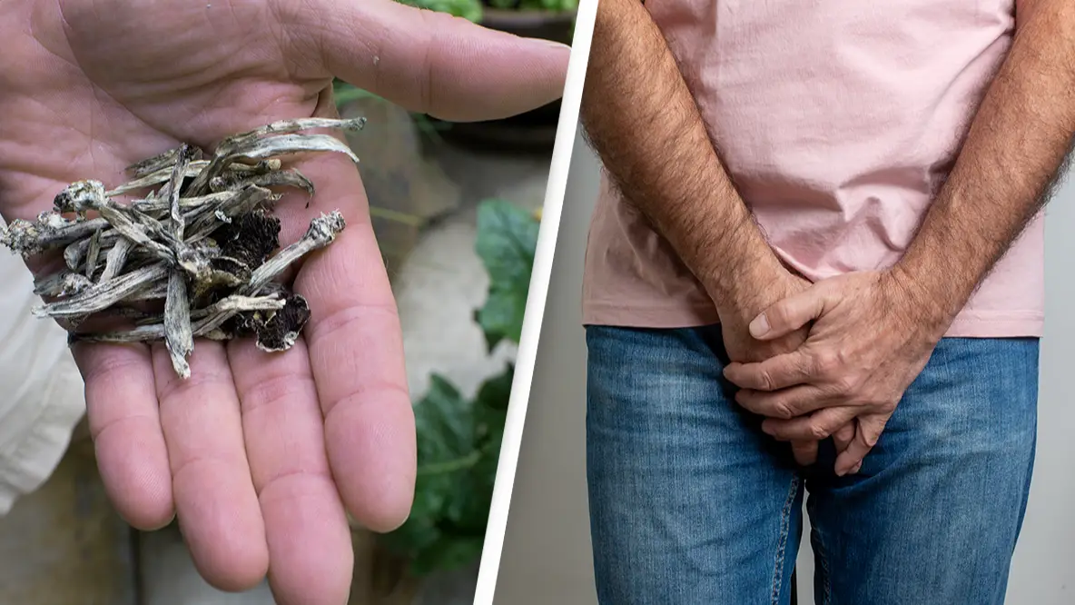 Man takes dose of magic mushrooms and shockingly amputates penis and stores it in a jar