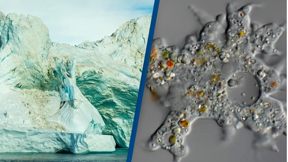 48,500 year old zombie virus trapped in ice revived by scientists