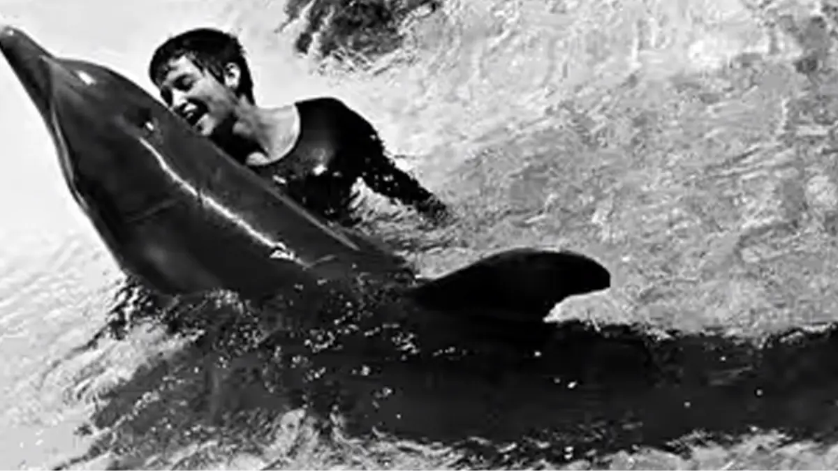 Lilly Estate handout