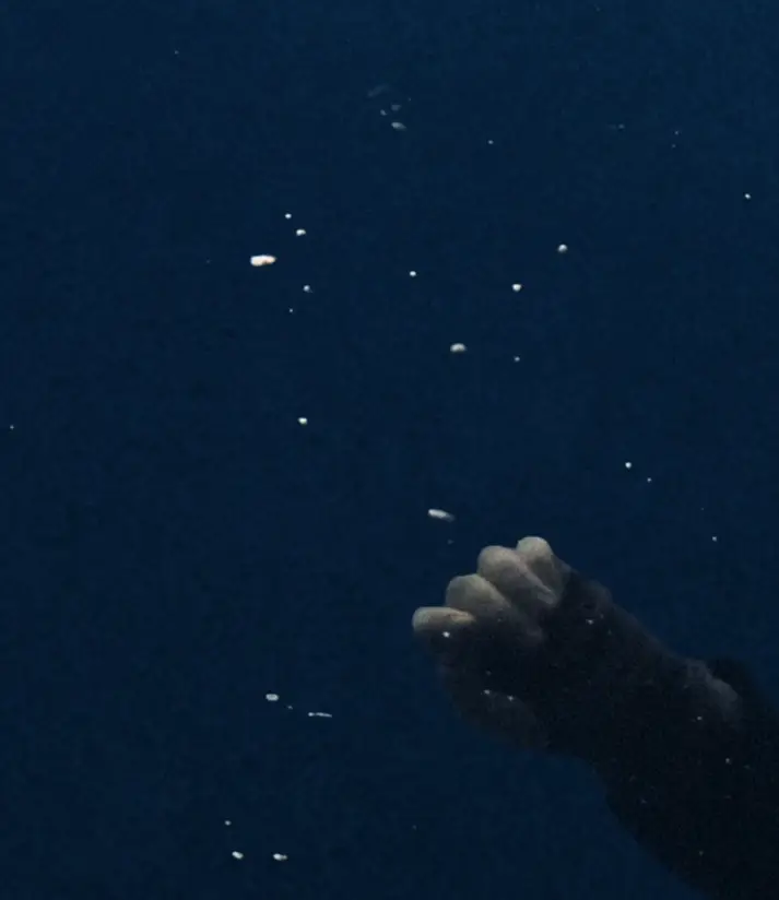 The singer sent her fans into a frenzy after adding them to her close friends list on Instagram.