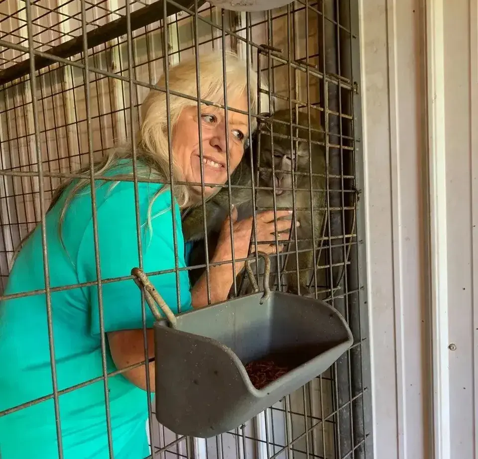 It is claimed the woman 'had at least seven monkeys' at her home (Facebook/Brenda Deutsch)